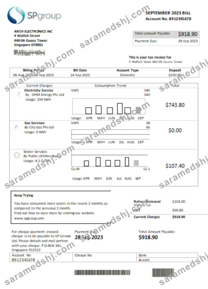 SP Group utility business bill SCR, page 1